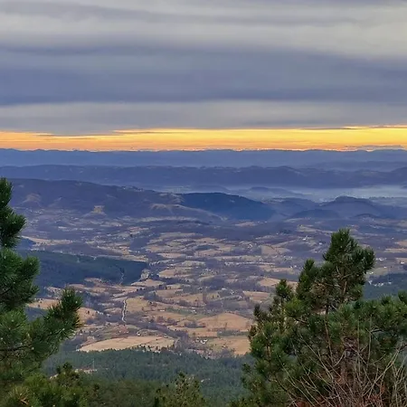 Apartament Borovi 3 - Tartufo Bianco *