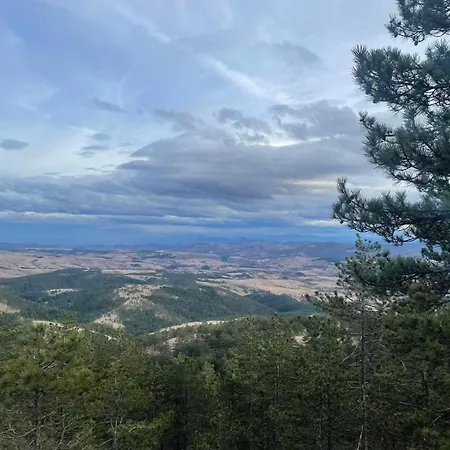 Borovi 3 - Tartufo Bianco