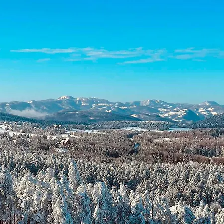 Apartament Borovi 3 - Tartufo Bianco *