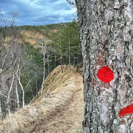 Borovi 3 - Tartufo Bianco Divčibare