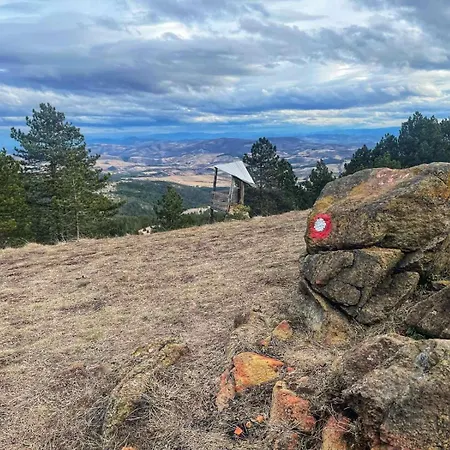 Borovi 3 - Tartufo Bianco Divčibare