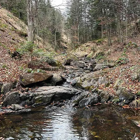 Apartament Borovi 3 - Tartufo Bianco Divčibare